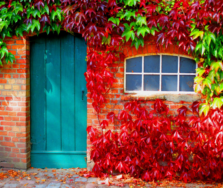 Autumn Leaves on a Brick House Facade